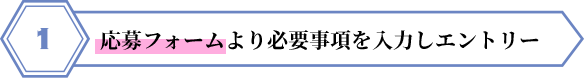 応募フォームより必要事項を入力しエントリー